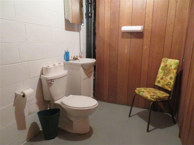 2373 GW Loy Road New Market, TN 37820 - Photo 26 of 33 DOWNSTAIRS BATH