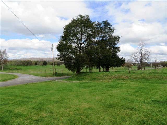 2373 GW Loy Road New Market, TN 37820 - Photo 30 of 33 LEFT PROPERTY LINE