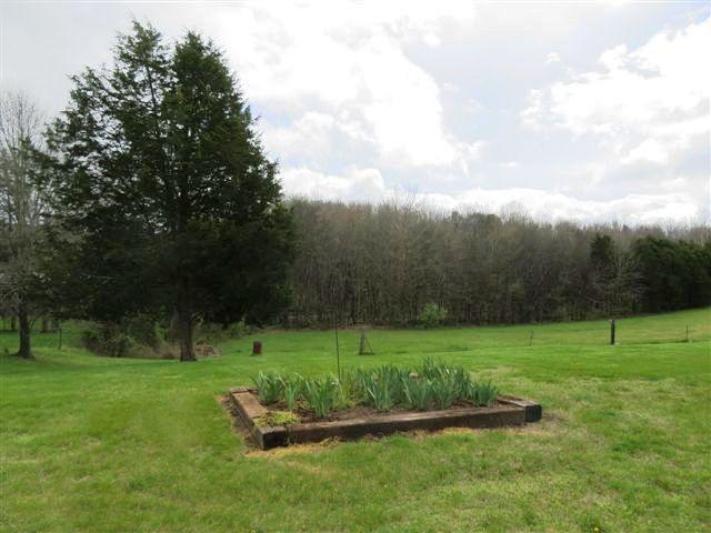 2373 GW Loy Road New Market, TN 37820 - Photo 31 of 33 BACK YARD