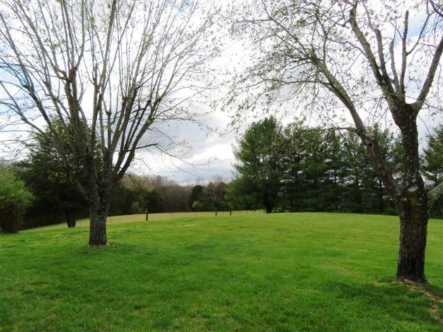 2373 GW Loy Road New Market, TN 37820 - Photo 33 of 33 RIGHT PROPERTY LINE
