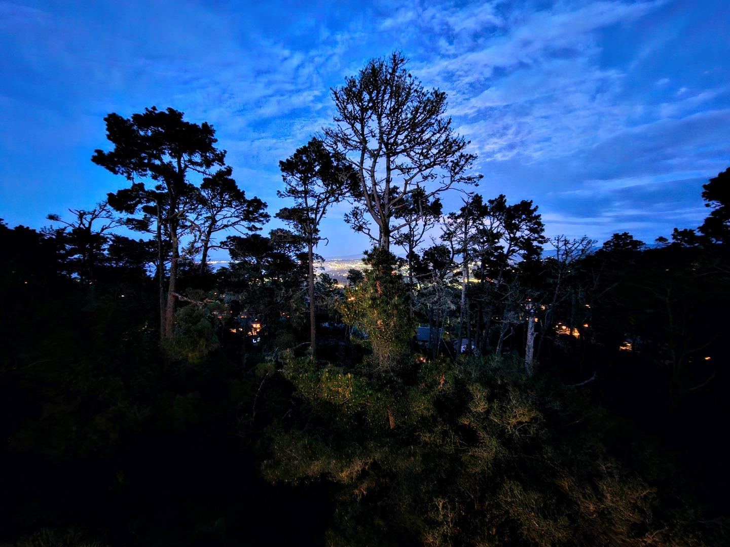 40 Shepherds Knoll Road, Unit 40 Monterey, CA 93940 - Photo 25 of 52 a view of a tree