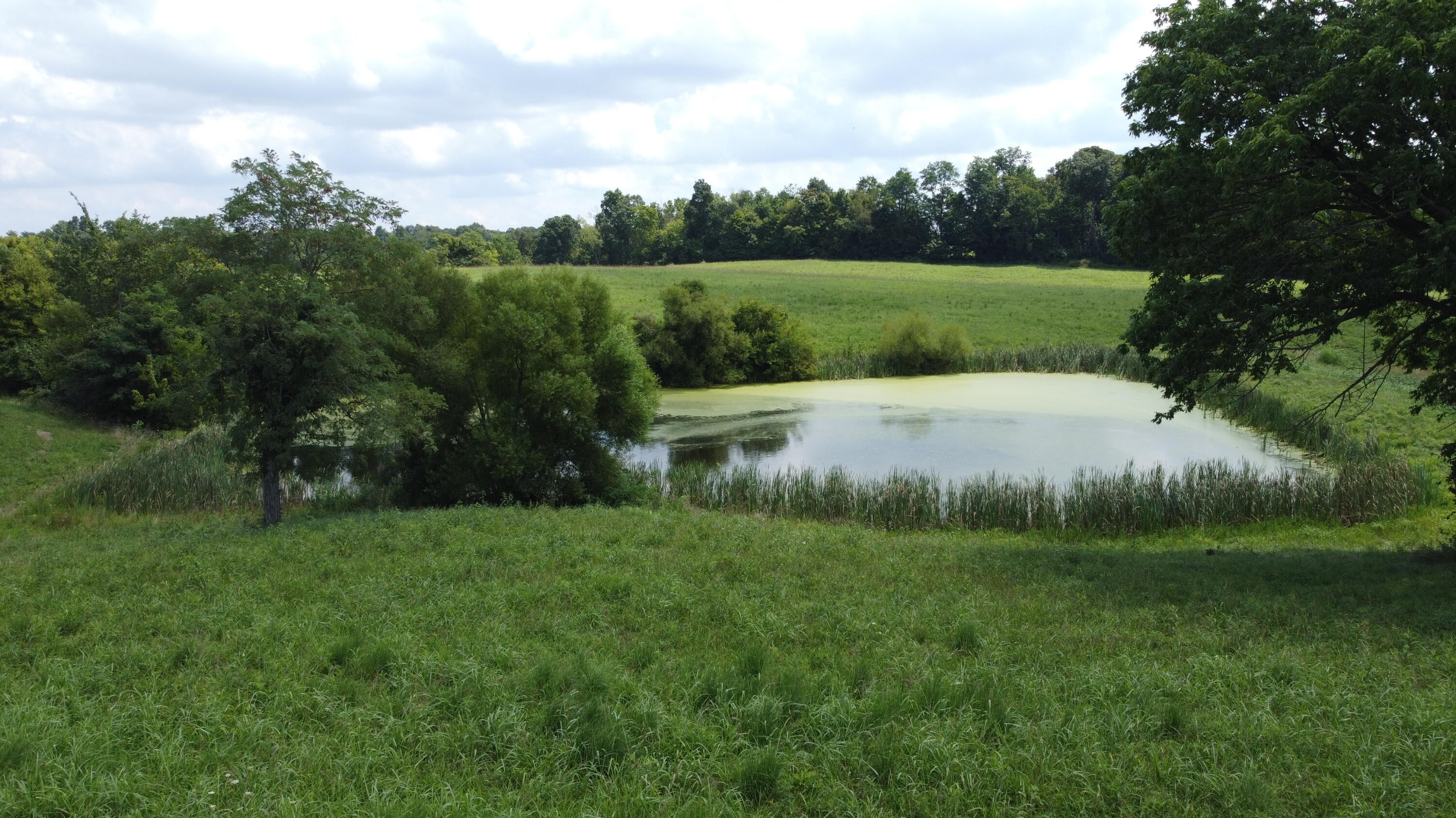 7 Chambers Road Walton, KY 41094 - Photo 4 of 7
