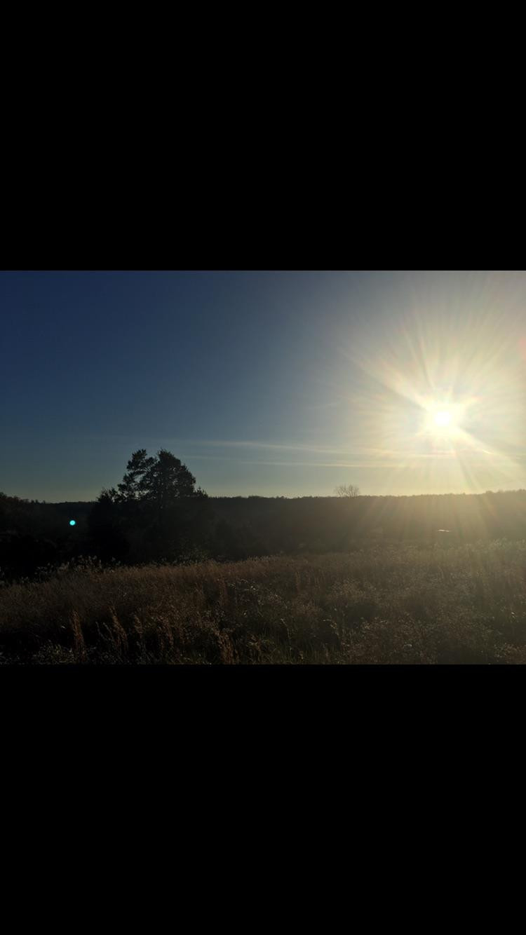544 Carvers Ferry Road Richmond, KY 40475 - Photo 9 of 19 Photo 9