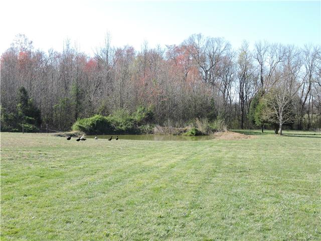 1524 Mud Creek Road Morrison, TN 37357 - Photo 12 of 16 pond is surrounded by woods and privacy