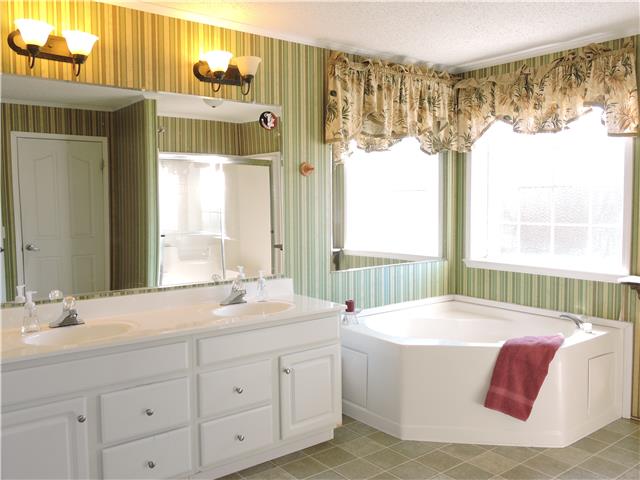 1524 Mud Creek Road Morrison, TN 37357 - Photo 8 of 16 Master bath with Garden Tub.