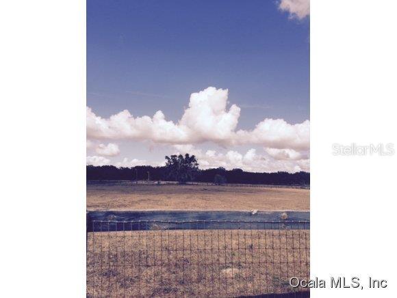 155 Northwest St Reddick Street Reddick, FL 32686 - Photo 1 of 1 Primary Photo