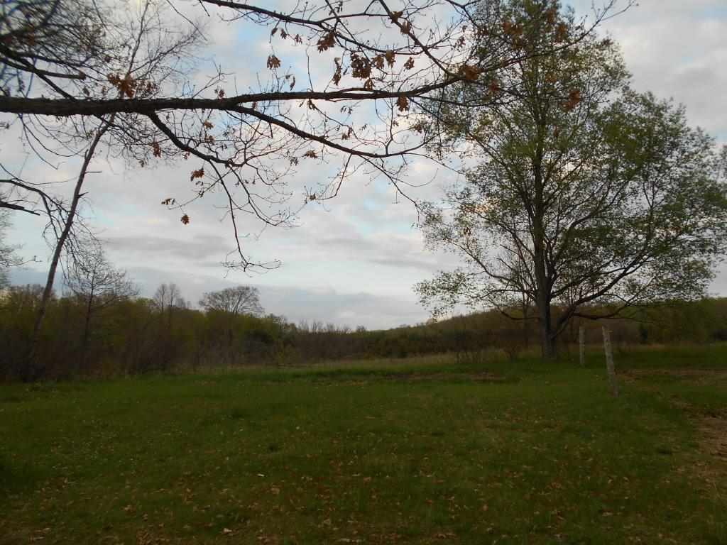 8370 North Lanning Road Manton, MI 49663 - Photo 6 of 27 1799985-5.JPG