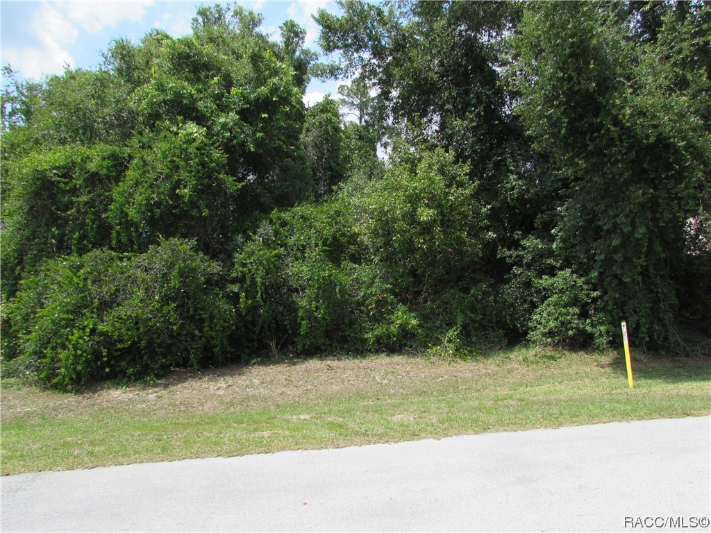2852 North Appledore Path Hernando, FL 34442 - Photo 2 of 6 a view of a backyard