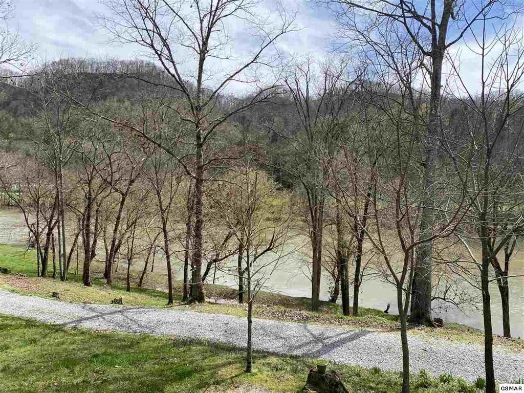 2646 Jackson Ridge Road Tazewell, TN 37879 - Photo 29 of 34 Gallery Image 29