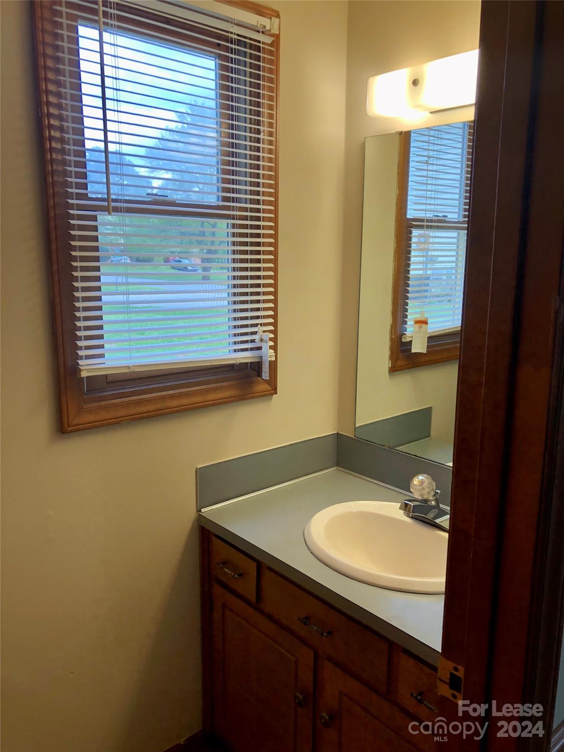 1637 Green Acres Road Lincolnton, NC 28092 - Photo 8 of 12 a bathroom with a sink a mirror and a window
