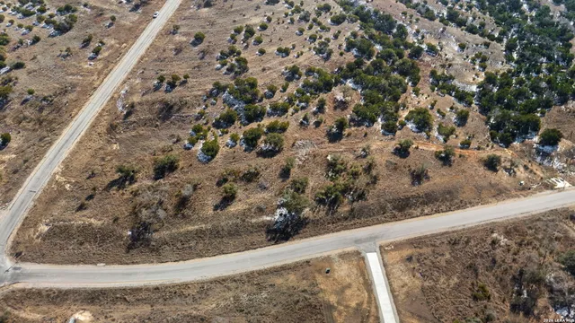 a view of a dry yard