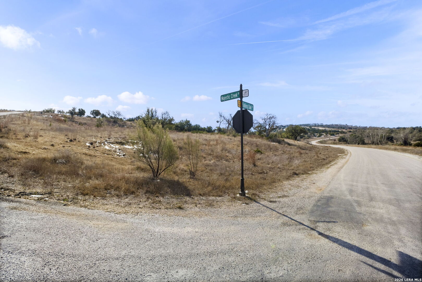 44 Falling Oak Drive Blanco, TX 78606 - Photo 6 of 11