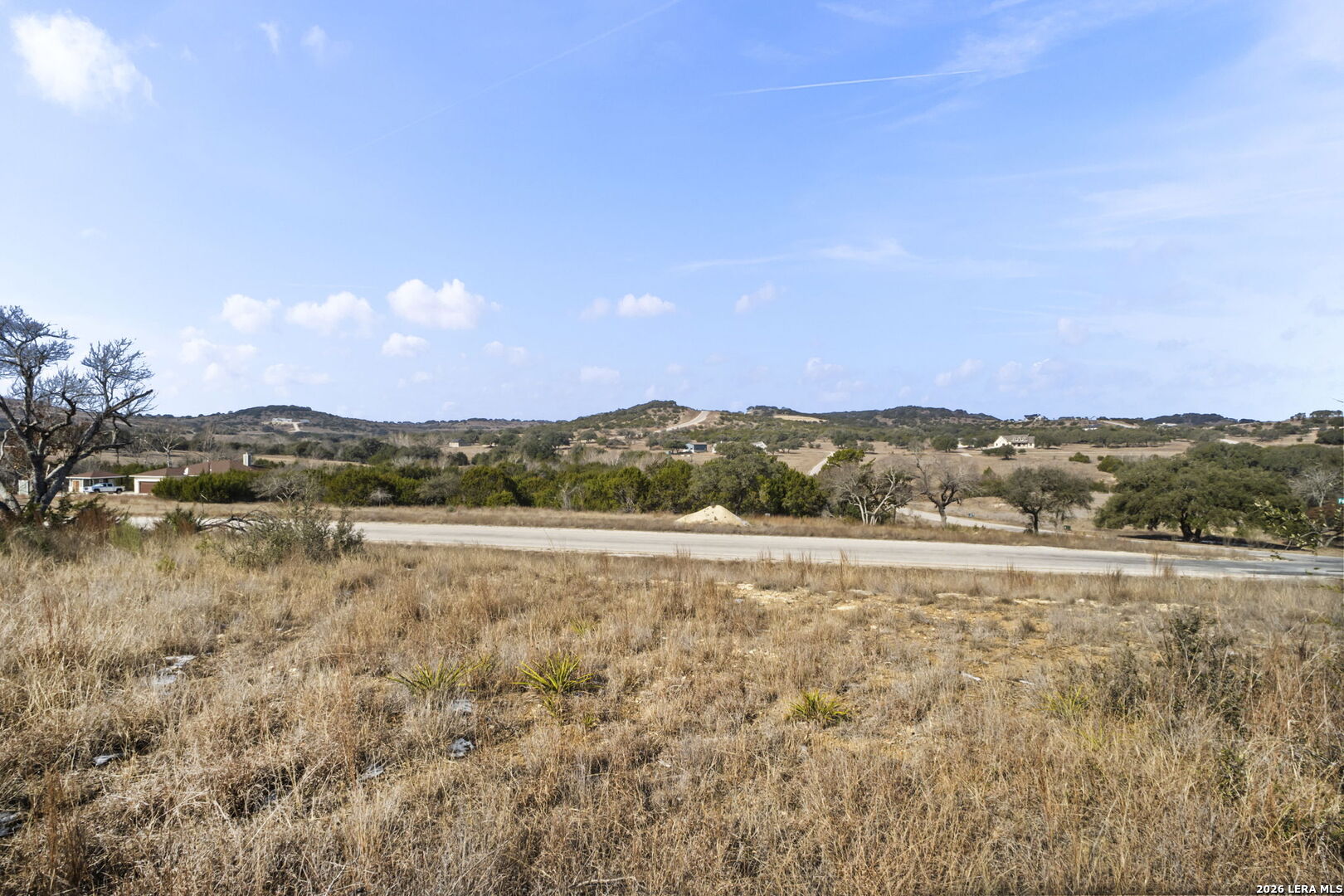 44 Falling Oak Drive Blanco, TX 78606 - Photo 8 of 11