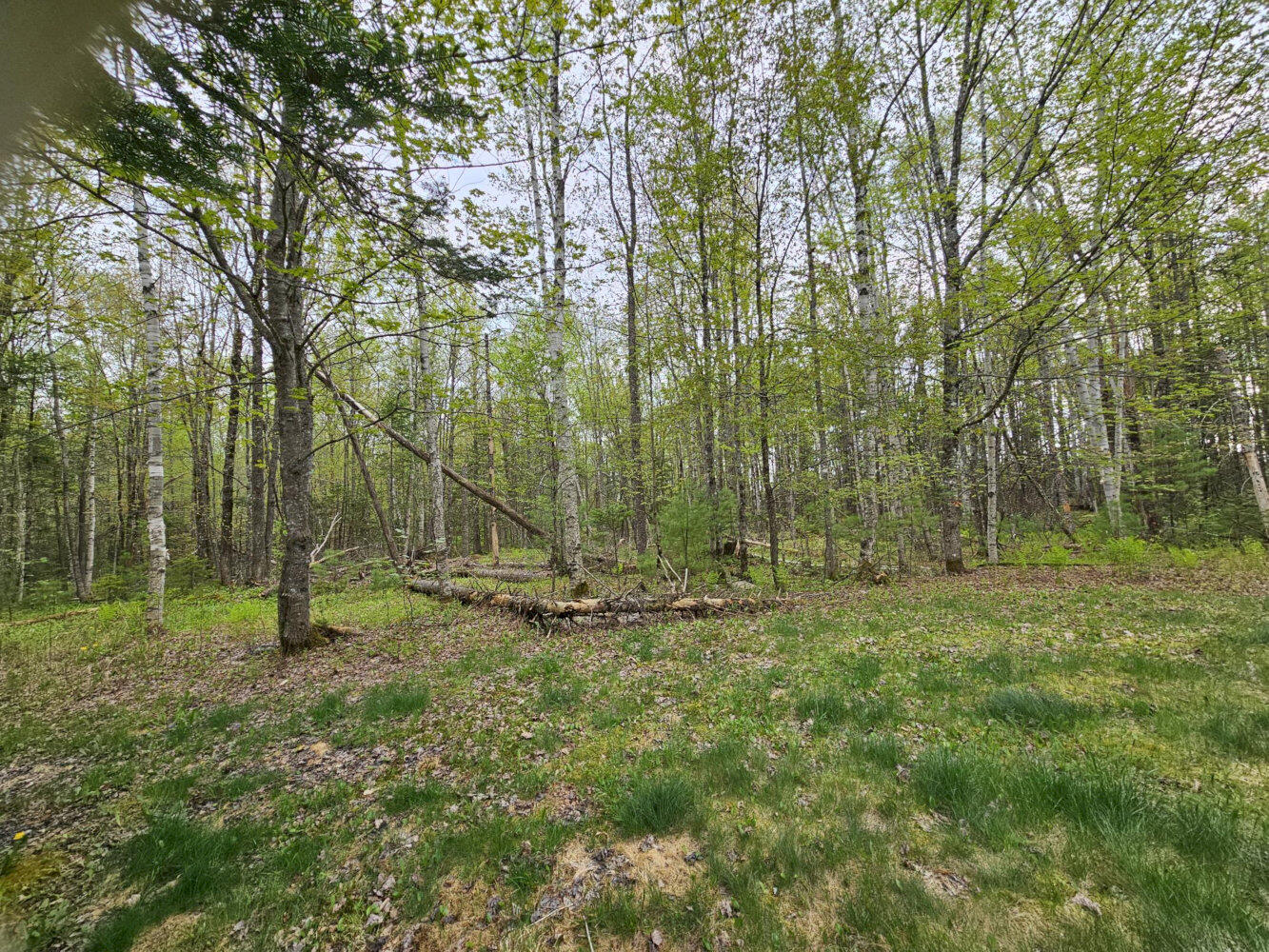 40 Peeks Hill Road Athens, ME 04912 - Photo 33 of 36 20260518_164716_result