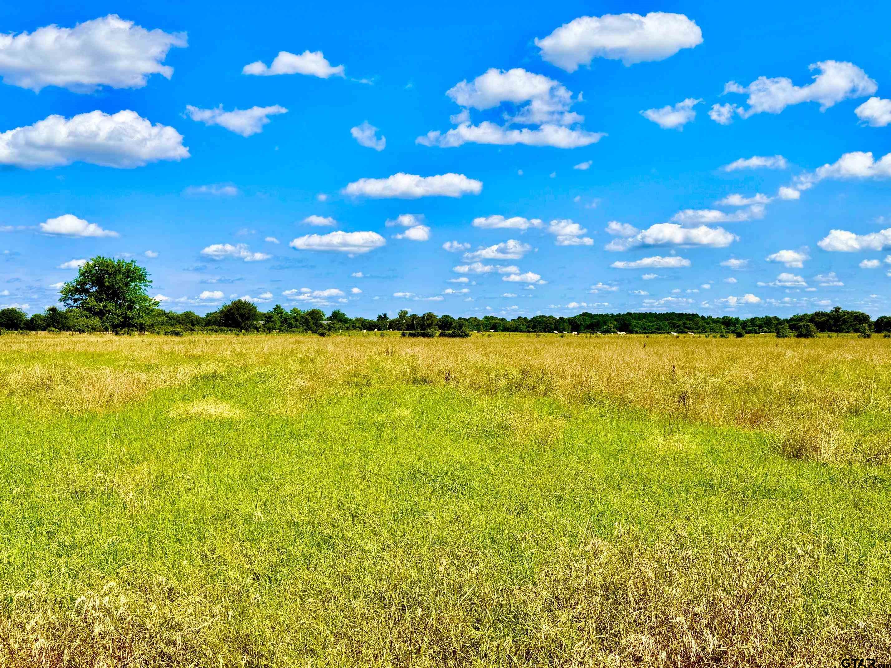 Tbd Cooper Settlement Road Crockett, TX 75835 - Photo 3 of 11