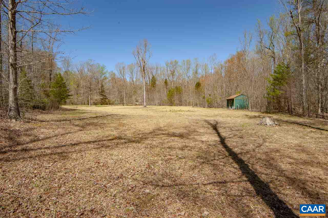 203 Quail Run Amherst, VA 24521 - Photo 38 of 45 a view of dirt yard with a large tree