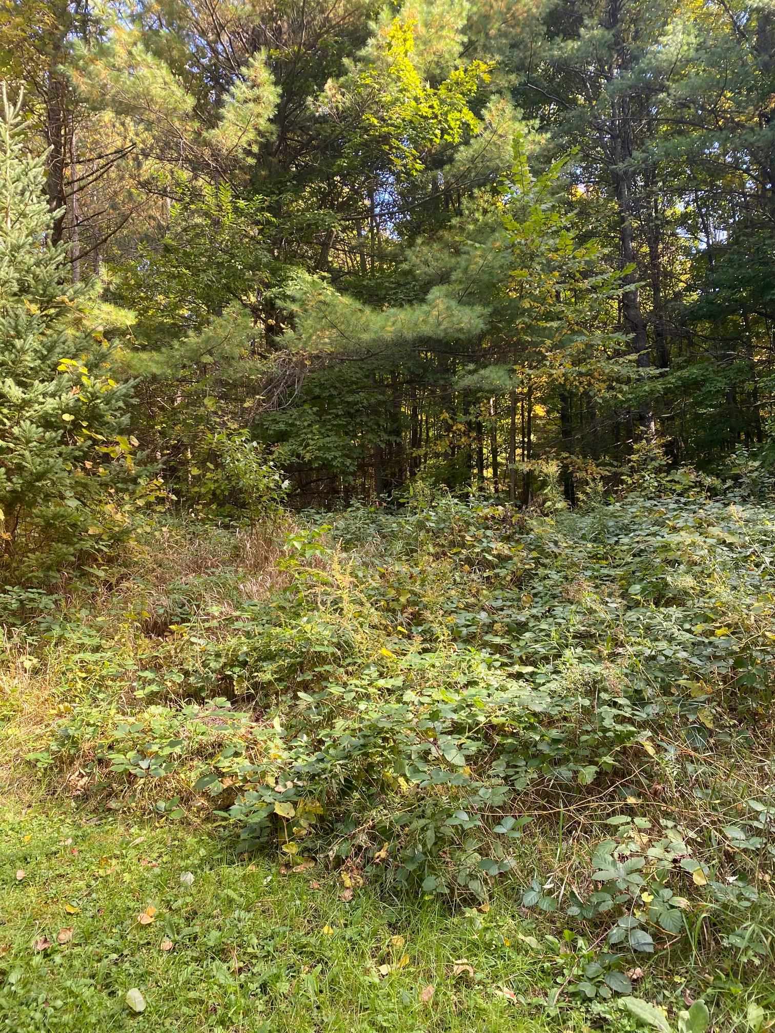 0 South Good Harbor Trail, Unit PARCEL B Cedar, MI 49621 - Photo 19 of 19