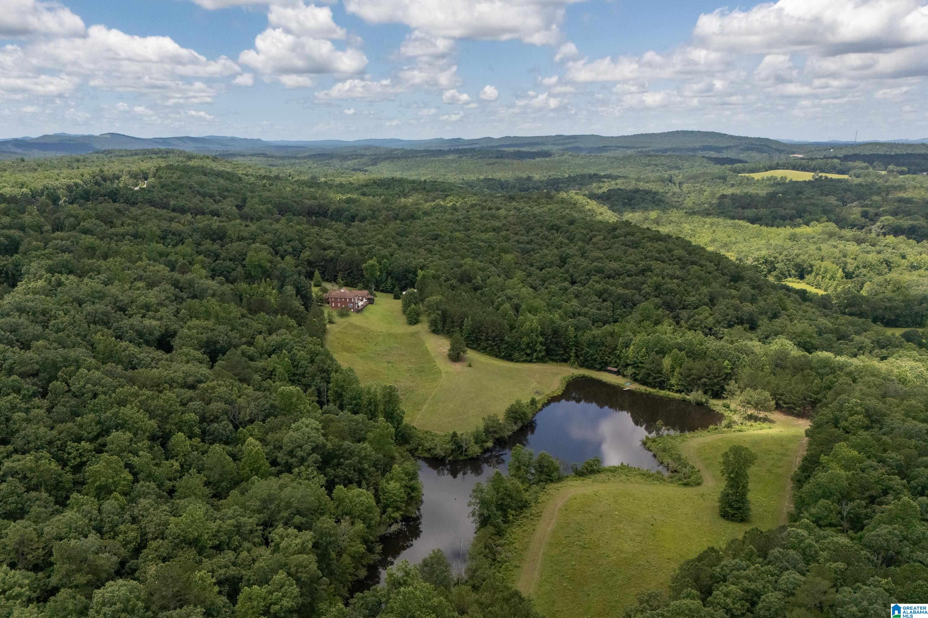 320 Wolf Pen Ridge Road Pell City, AL 35128 - Photo 96 of 100