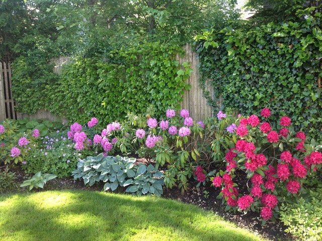 233 Ridge Avenue Winnetka, IL 60093 - Photo 24 of 25 a view of a flower in a garden of flowers