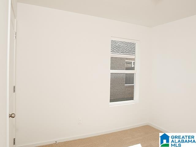 205 Polo Field Way Chelsea, AL 35043 - Photo 19 of 26