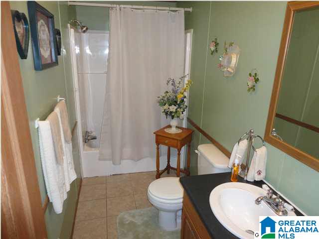 180 Hoyt Hill Road Ashville, AL 35953 - Photo 17 of 32