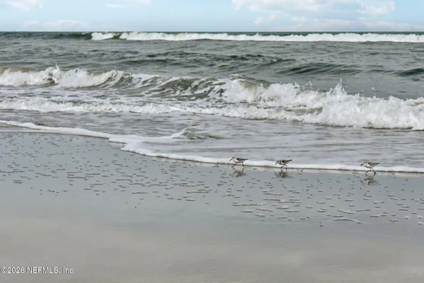 $1,800,000 | 2802 2nd Street South, Jacksonville Beach, FL 32250