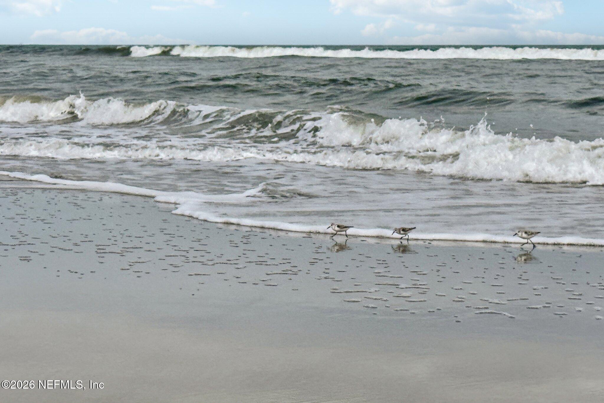 2802 2nd Street South Jacksonville Beach, FL 32250 - Photo 52 of 53 a view of ocean view