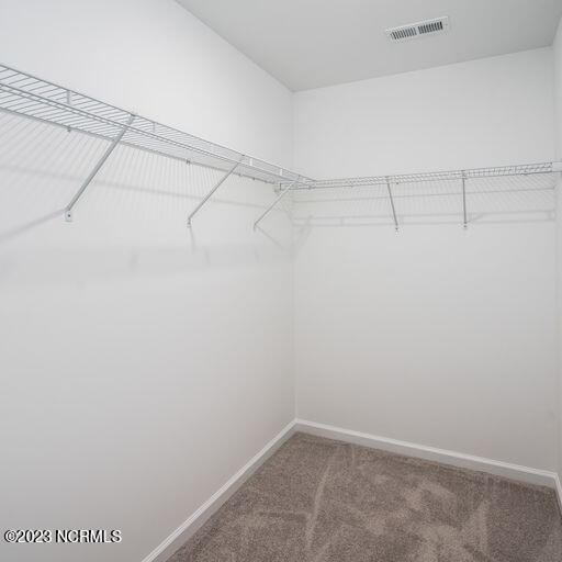 116 Waters Edge Drive Chocowinity, NC 27817 - Photo 20 of 26 18