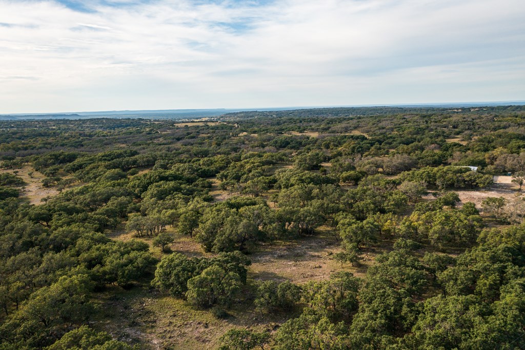 195 Schmidt Anderegg Road Doss, TX 78618 - Photo 14 of 43 Gallery Image 14
