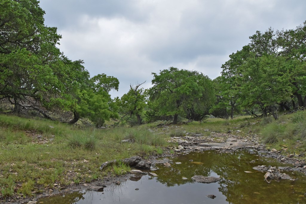 195 Schmidt Anderegg Road Doss, TX 78618 - Photo 18 of 43 Gallery Image 18