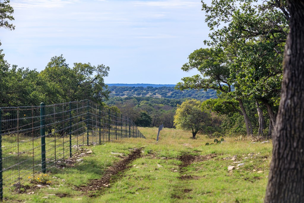 195 Schmidt Anderegg Road Doss, TX 78618 - Photo 21 of 43 Gallery Image 21