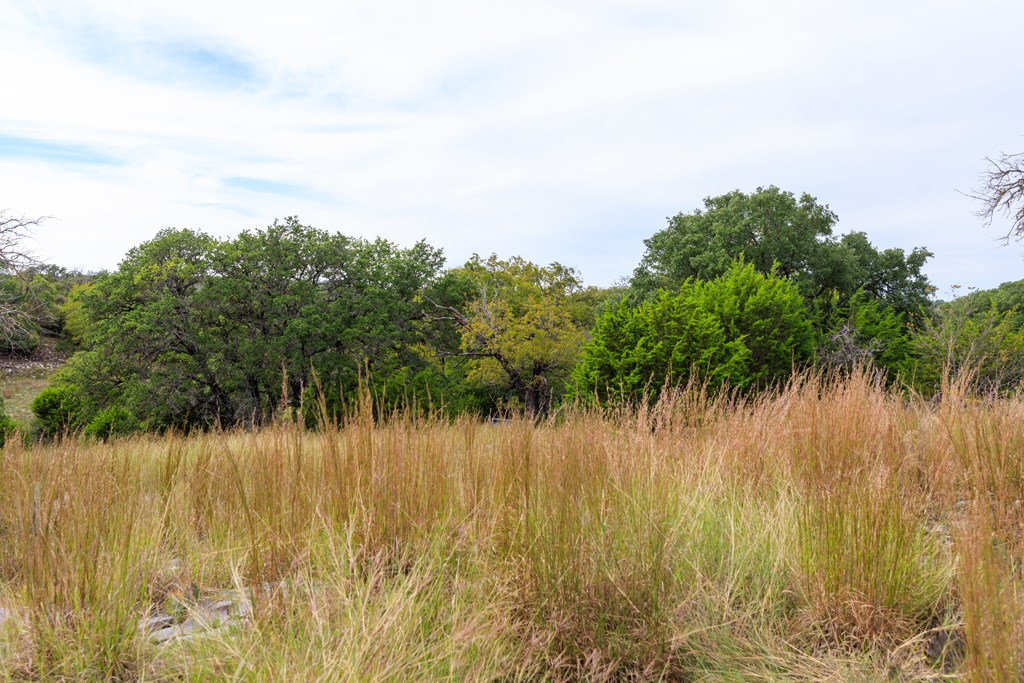 195 Schmidt Anderegg Road Doss, TX 78618 - Photo 30 of 43 Gallery Image 30