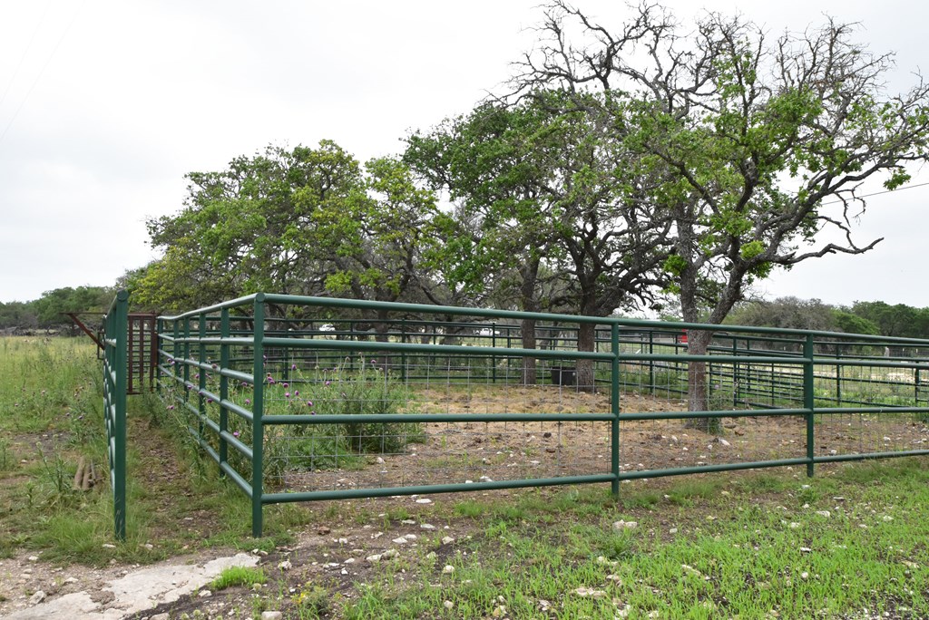 195 Schmidt Anderegg Road Doss, TX 78618 - Photo 32 of 43 Gallery Image 32