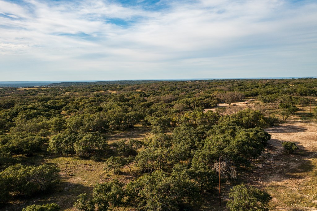 195 Schmidt Anderegg Road Doss, TX 78618 - Photo 33 of 43 Gallery Image 33