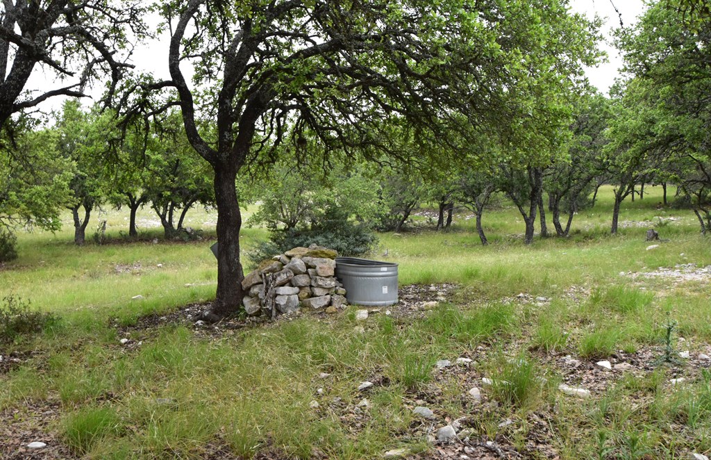 195 Schmidt Anderegg Road Doss, TX 78618 - Photo 34 of 43 Gallery Image 34