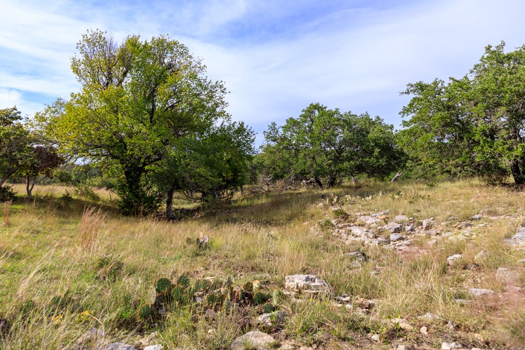 195 Schmidt Anderegg Road Doss, TX 78618 - Photo 36 of 43 Gallery Image 36
