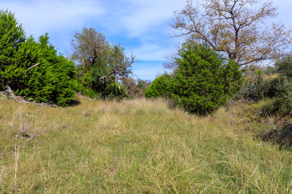 195 Schmidt Anderegg Road Doss, TX 78618 - Photo 40 of 43 Gallery Image 40