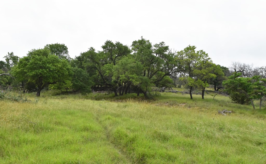 195 Schmidt Anderegg Road Doss, TX 78618 - Photo 4 of 43 Gallery Image 4