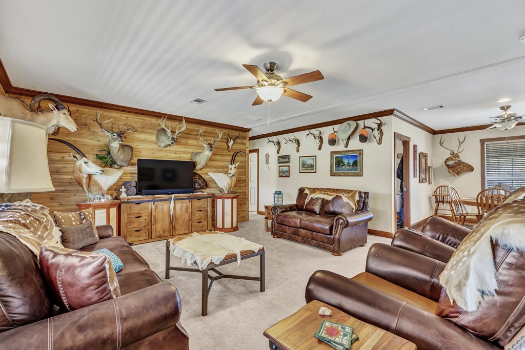 195 Schmidt Anderegg Road Doss, TX 78618 - Photo 9 of 43 Gallery Image 9