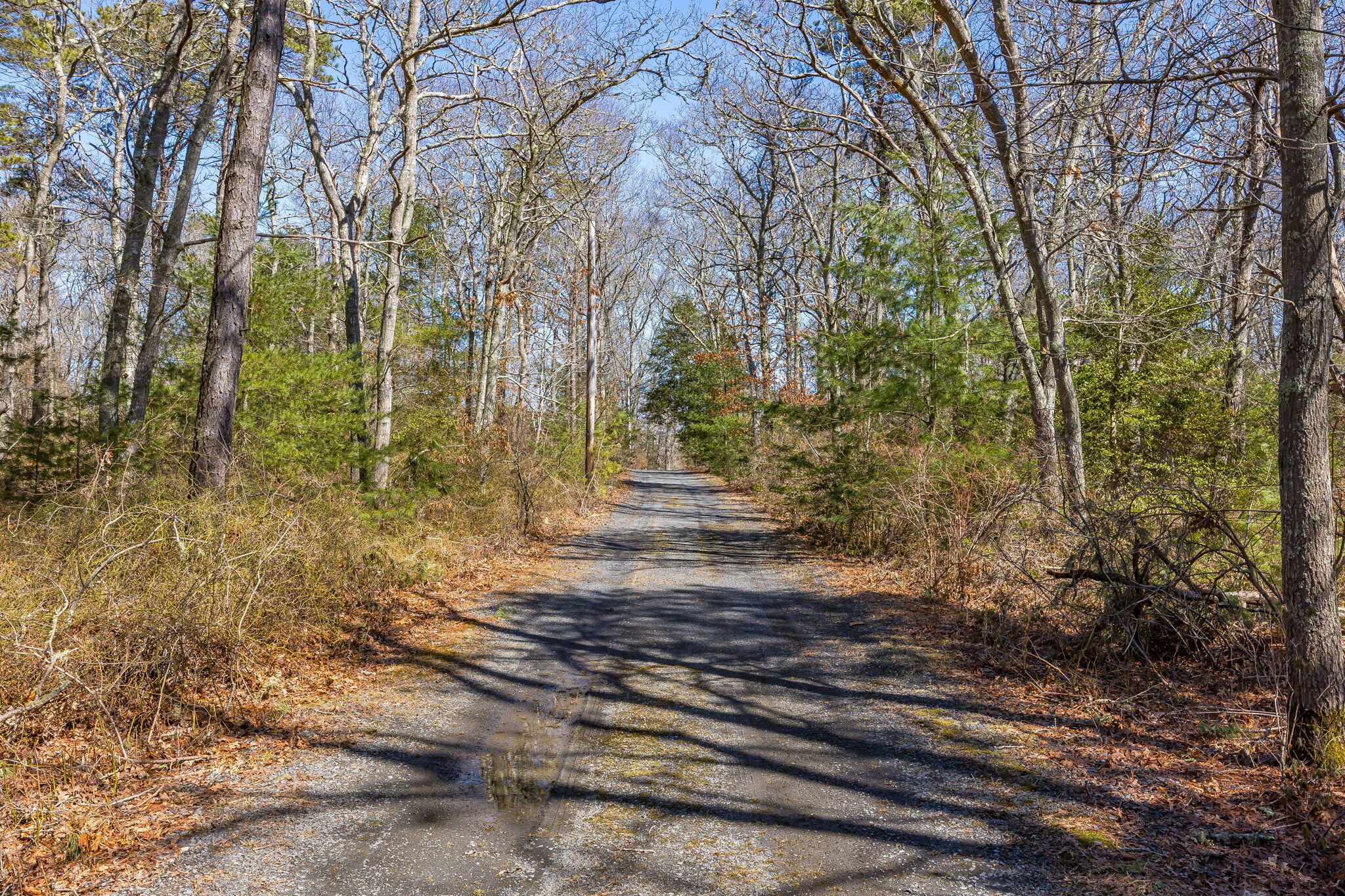 320 Long Pond Road Marstons Mills, MA 02648 - Photo 24 of 48 12-8P0A8385