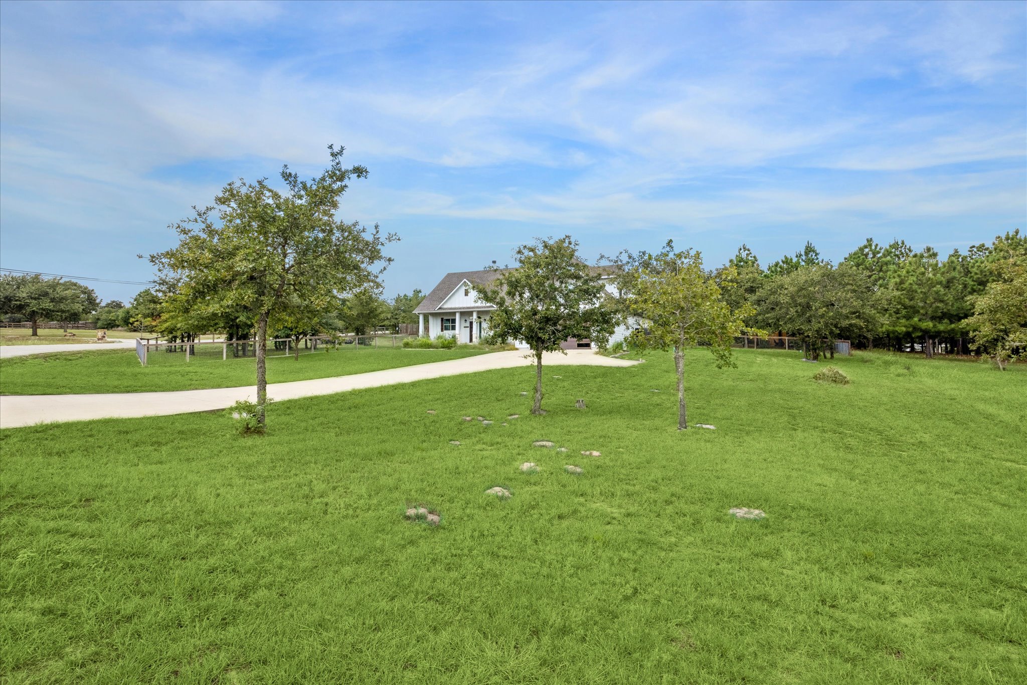 116 Mallard Road Bastrop, TX 78602 - Photo 2 of 31 A long paved driveway winds past young trees toward this country estate.