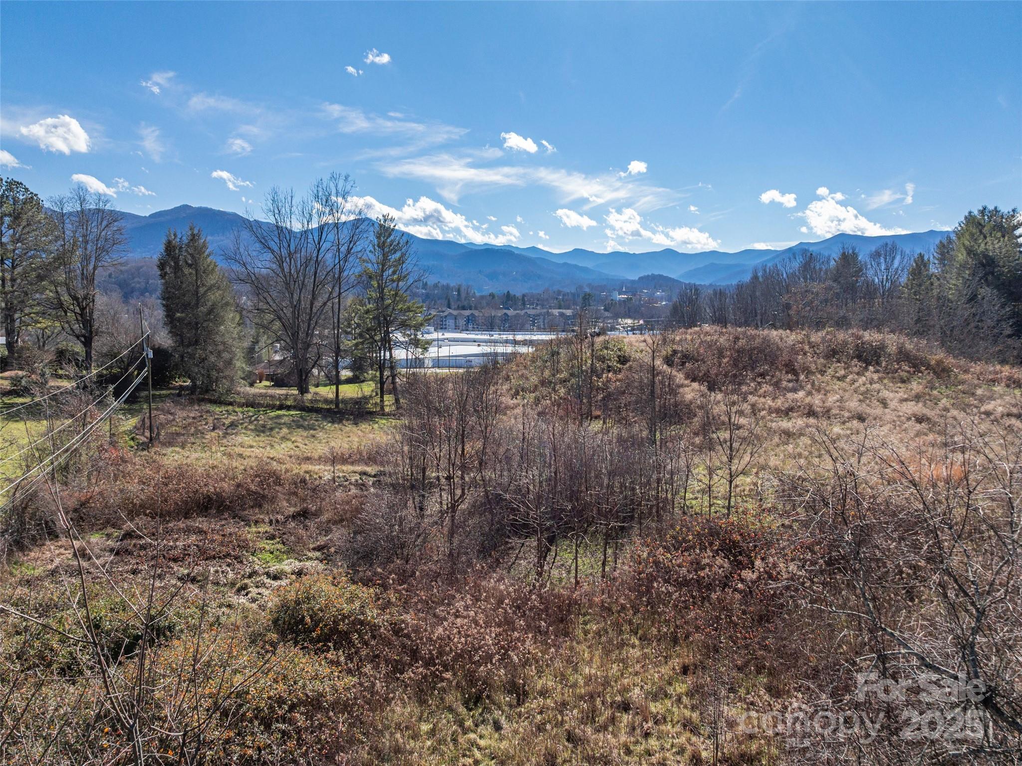 0 Calhoun Road Waynesville, NC 28786 - Photo 5 of 10