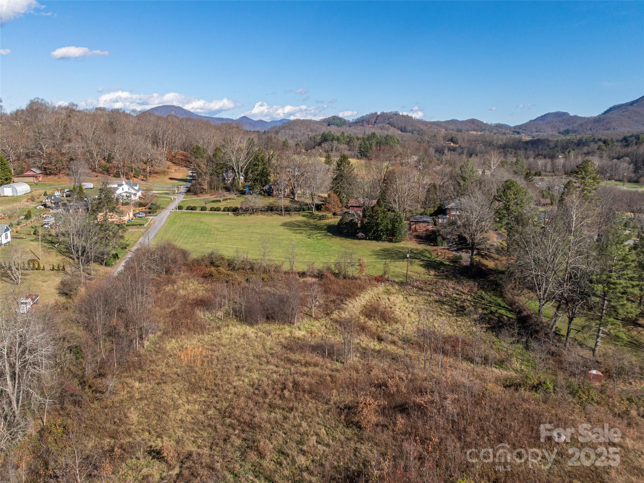 0 Calhoun Road Waynesville, NC 28786 - Photo 6 of 10