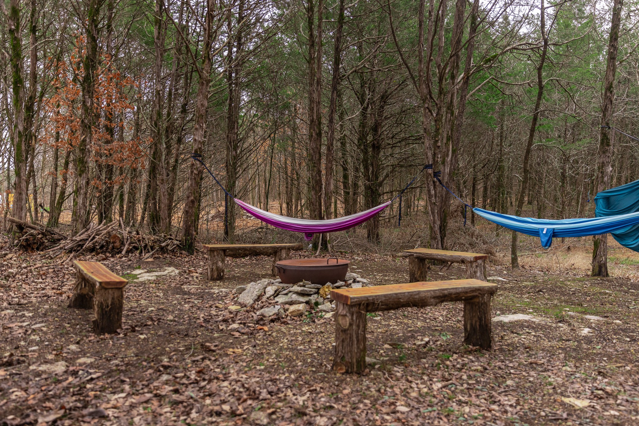 6599 Simmons Bluff Road Lebanon, TN 37090 - Photo 21 of 23 a park view with a bench and a bench sitting space