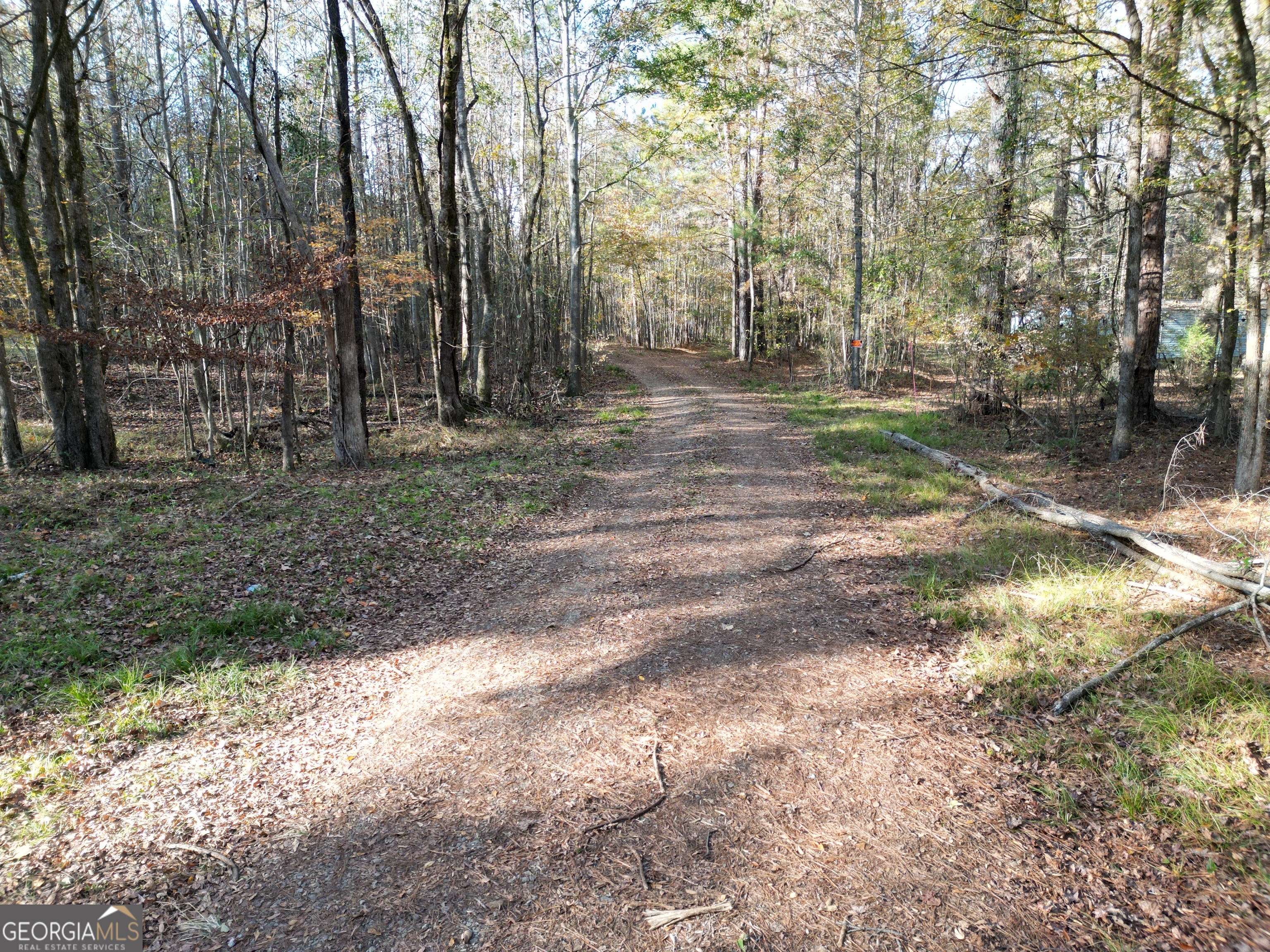 0 Cedar Grove Road Buckhead, GA 30625 - Photo 1 of 1 a view of a yard with trees