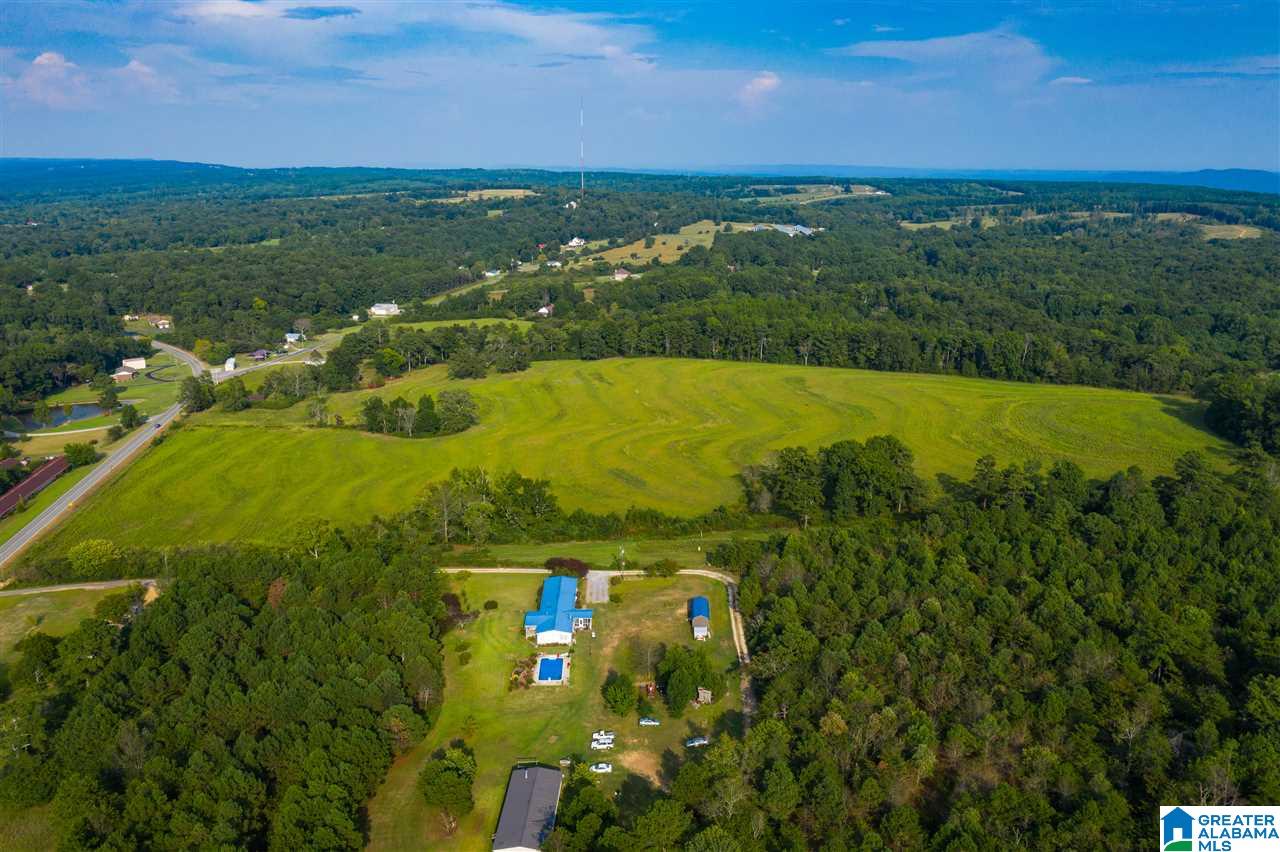 0 County Road 27, Unit 46 ACRES Springville, AL 35146 - Photo 9 of 11