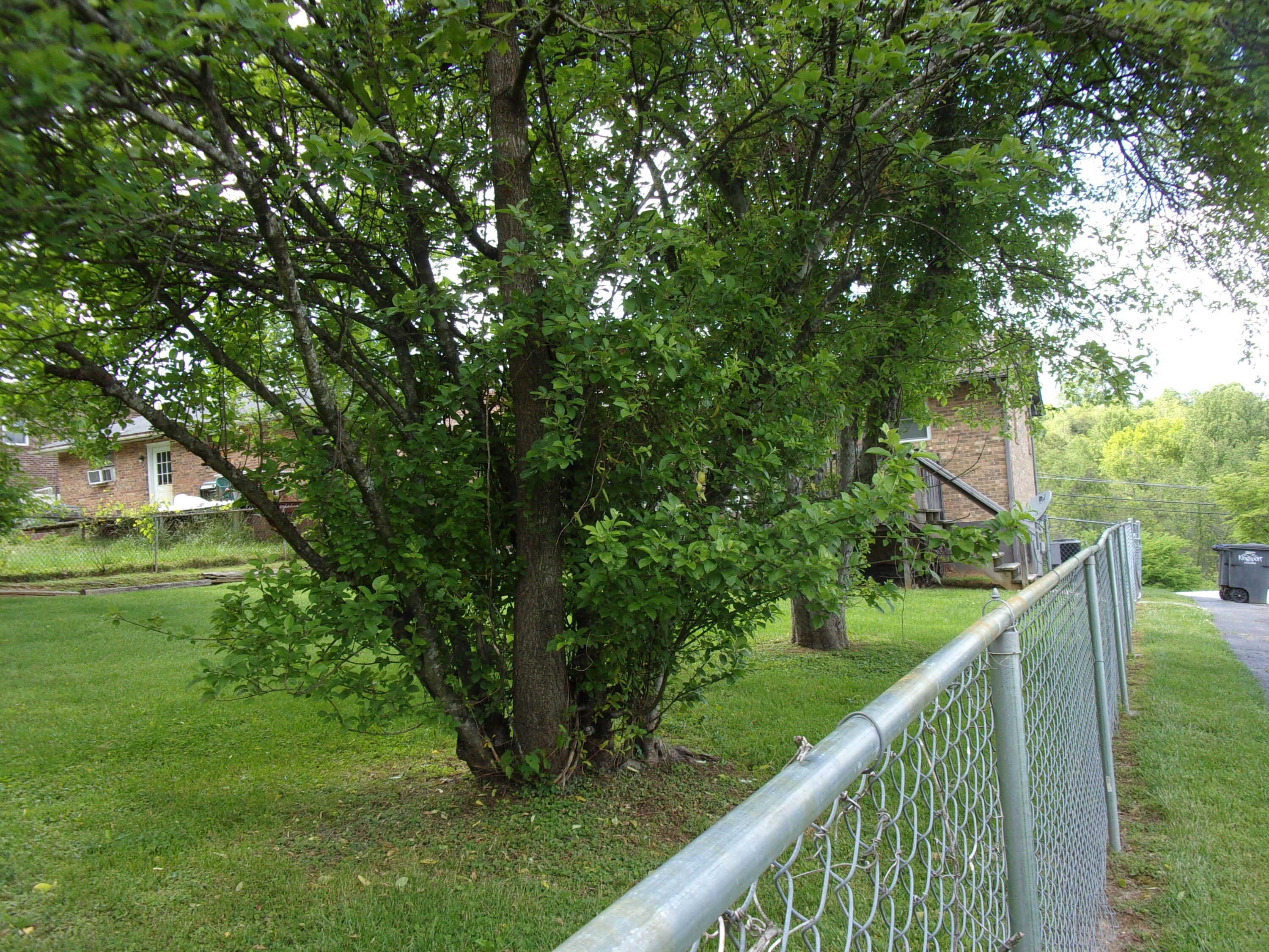 1767 Granby Road Kingsport, TN 37660 - Photo 33 of 36 2020-08-29 04.02.16