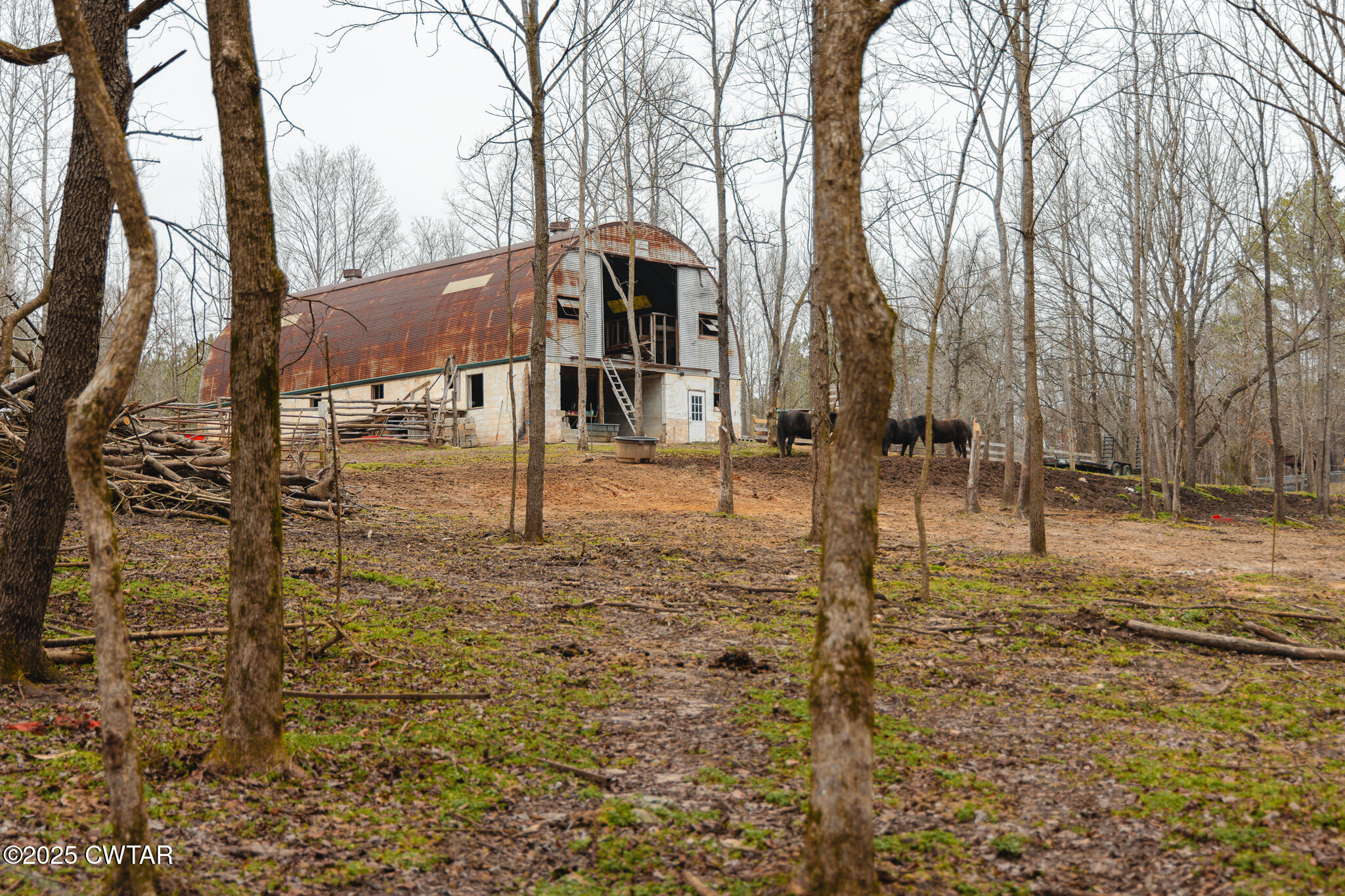 1421 Copper Spring Road Springville, TN 38256 - Photo 60 of 79 FT8A2193