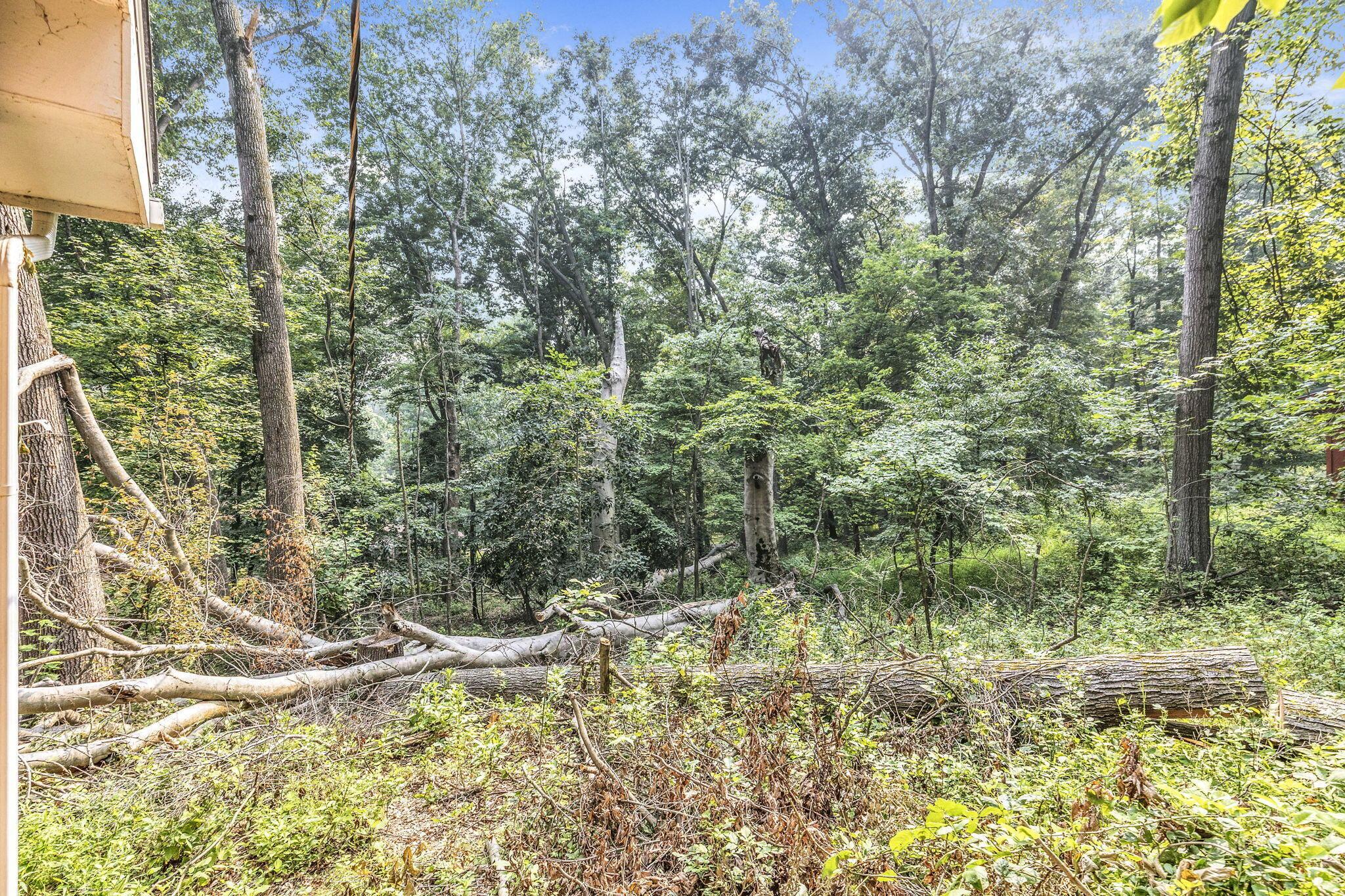 630 Cedar Run Road Northeast Newark, OH 43055 - Photo 57 of 73 63-web-or-mls-011A1742