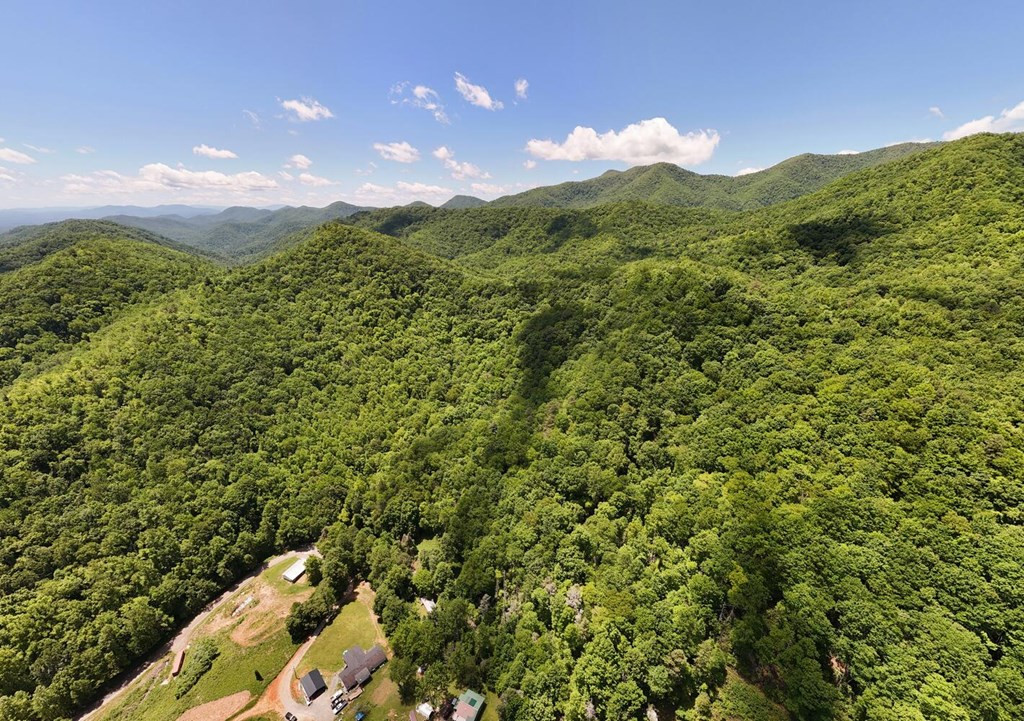 779 Grindstone Road Murphy, NC 28906 - Photo 5 of 18